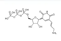 CAS號：112131-73-4，Aminoallyl-UTP，氨基烯丙基尿苷三磷酸