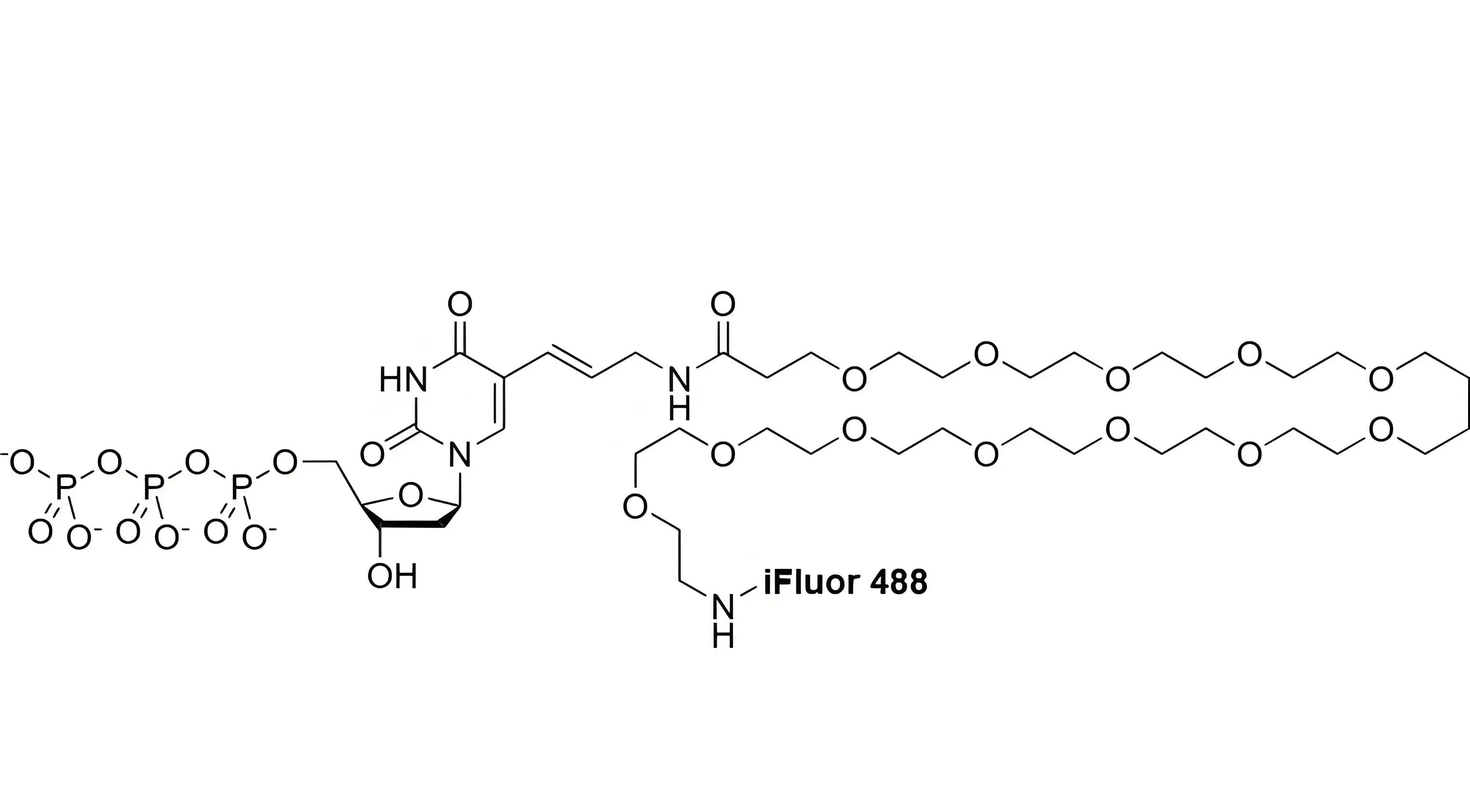 iFluor488-PEG12-dUTP，iFluor488-十二聚乙二醇-脫氧尿苷三磷酸的光譜特性解析及FISH濾光片選配指南