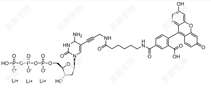 FAM-11-dCTP，熒光素標(biāo)記脫氧胞苷三磷酸：高效熒光標(biāo)記的脫氧胞苷三磷酸衍生物及其分子生物學(xué)應(yīng)用
