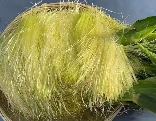 痛風(fēng)食療指南！8種低嘌呤食物建議常吃，溫和緩解不適少復(fù)發(fā)